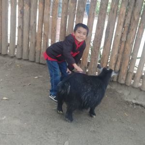 Meet your Posher, Vanessa